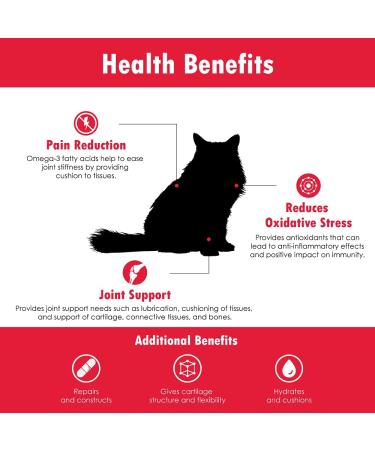Joint MAX Liquid for Cats - Maximum Joint Health Supplement - 8 fl oz - Buy Online on GoSupps.com