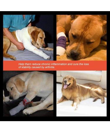 Nikou Dog Paw Protector Dog Leg Paw Joint Heals Sleeves Garter 1 Pair Front Legs Knee Pad Protector Pet Surgical Bandage Tape - Buy Online on GoSupps.com