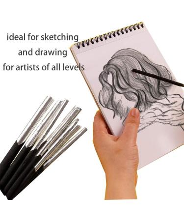 10pcs Willow Vine Charcoal Sticks & Pencils Set | Charcoal Drawing Kit in Tin Box for Sketching & Shading - Buy Online on GoSupps.com