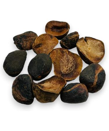 Whole Dried Kola Nuts 85g - 1 95Kg Premium Quality Cola Acuminata (85 Grams) - Buy Online on GoSupps.com