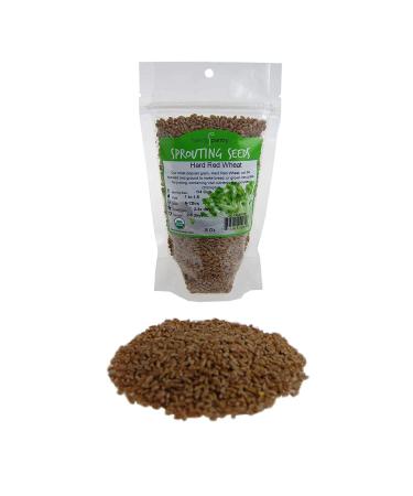 Handy Pantry Organic Wheatgrass Seeds - Premium Hard Red Wheat for Wheatgrass, Cat Grass, Food Storage & More (1/2 lb) - Buy Online on GoSupps.com