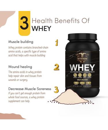 VITANOW NUTRITION Whey Protein 907G - Sugar Free Vanilla Milkshake Flavor - 28 Servings - Buy Online on GoSupps.com