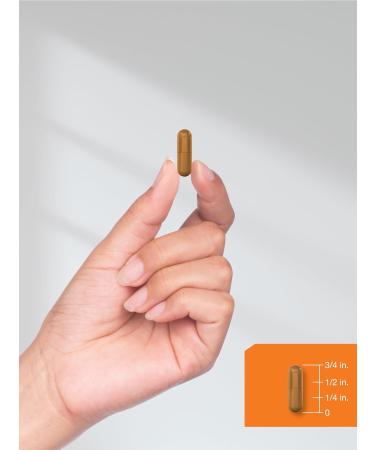 Horb ach Vitamin B-2 100mg | 180 Capsules | Non-GMO & Gluten Free Supplement | Vitamin B2 Riboflavin 180 Count (Pack of 1) - Buy Online on GoSupps.com