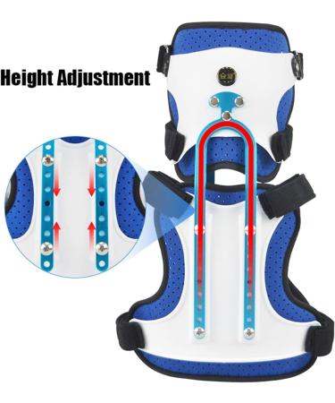 JLASDR Neck Brace - Adjustable Head Neck & Chest Support for Cervical Fractures | International Shipping Available - Buy Online on GoSupps.com