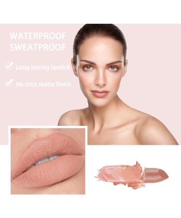 Long Lasting Nude Lipstick - Waterproof & Moisturizing Pink Matte Lip Gloss (#607 White Peach) | Perfect Gift for Women - Buy Online on GoSupps.com
