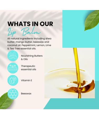 Naturally Solved Cold Sore Relief Balm - All Natural Lip Care Infused with Peppermint, Lemon, Tea Tree, and Lime Oils - Reduces Redness, Swelling, and Blisters - Buy Online on GoSupps.com