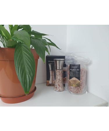 Original Himalayan Pink Salt Grinder 200g with Free 1 KG Refill Pack Stainless Steel Salt and Pepper Mill Grinder Manual Airtight Glass Jar with Shaker Lid (Himalayam Pink Salt Manual Gringer) Himalayam Pink Salt 2 Count (Pack of 1) - Buy Online on GoSupps.com