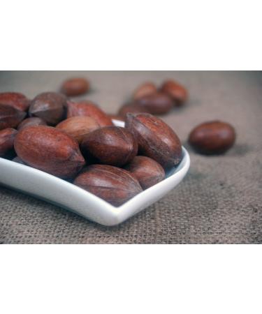 Naturix24 Pecans in the shell 1 kg bag - Buy Online on GoSupps.com