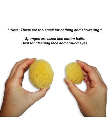 Natural Sea Silk Sponges 12pk | Size 1.5-3 | Cosmetic Use, Makeup Application & Removal | Face & Eye Cleaning | Luxury Gift Bag by Constantia Beauty - Buy Online on GoSupps.com