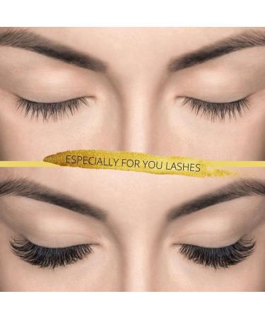 500 Loose Promade Fans | Volume Eyelash Extensions | 3D to 20D | C CC D L M | 0.03-0.1mm | 8-20mm Length | Long Lasting & Easy Application - Buy Online on GoSupps.com