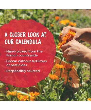 Boiron Calendula First Aid Cream 2.5 oz - Relief for Cuts, Scrapes, Chafing & Sunburn - Buy Online on GoSupps.com