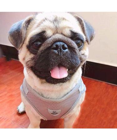 Femax Dog Harness & Linen Set - Soft Mesh Padded Reflective Adjustable Breathable for Dogs & Cats | Perfect for Walking Running Training | Size M (35-40 cm) - Gray - Buy Online on GoSupps.com