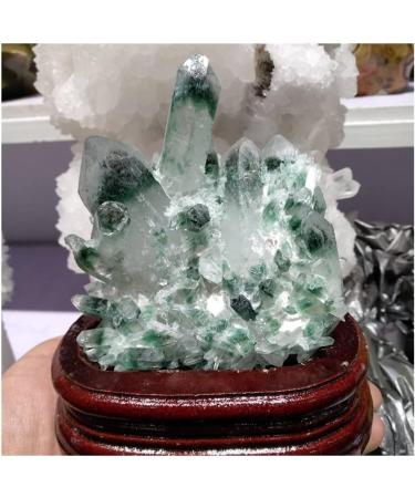 Natural Green Ghost Phantom Quartz Specimen +Wood Stand Room Decoration Stone Mineral Specimen - Buy Online on GoSupps.com