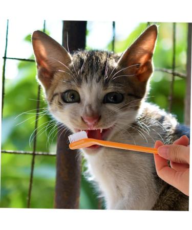 INOOMP 16 Pcs Pet Oral Toothbrush Dog Pp Dog Toothbrush and Toothpaste Dog Teeth Cleaning 1 count (Pack of 1) As Shownx2pcs - Buy Online on GoSupps.com