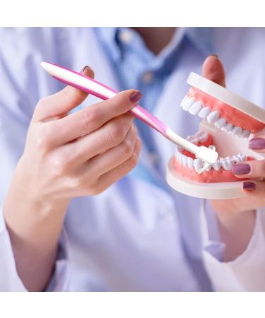 Cunhill 3-Piece Tooth Floss Handle Set - 300 Unflavored Refill Heads Colorful Interdental Flossers for Effective Teeth Cleaning - Eco-Friendly & Reusable - Buy Online on GoSupps.com