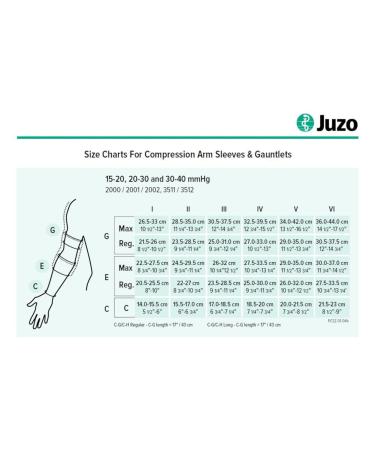 Juzo Soft 2002 Armsleeve 30-40mmHg with Silicone Band - Cinnamon - Regular Size - International Shipping Available - Buy Online on GoSupps.com