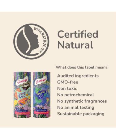 Certified Natural Aluminium Free Deodorant Stick For Women + Men Tea Tree Mint 1.76 Ounce - Buy Online on GoSupps.com