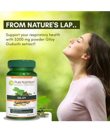 Pure Nutrition Giloy Supplement - 5200mg Equivalent Powder - Antioxidant & Immune Support - Non GMO - 60 Capsules - Buy Online on GoSupps.com