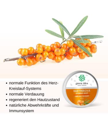  green idea green idea Organic Sea Buckthorn Ointment - Regenerating - Wound Healing Light Burns Eczema Damaged Tissue Restoration - Natural Antioxidant - 100% Natural - 100ml (2) - Buy Online on GoSupps.com
