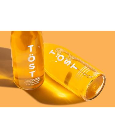 TST All-Natural Alcohol-Free Sparkling Beverage 25.4 Fl Oz - Pack of 3 - Buy Online on GoSupps.com