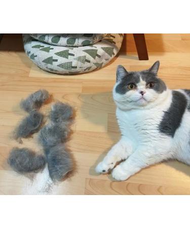 Disadriculation Brush for Dogs Cats Horses & Goats - Medium 4 Inch Tool for Underfell Scales & Flakes Removal - Perfect for Pets & Farm Animals - Buy Online on GoSupps.com