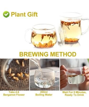 Plant Gift Dried Bergamot Flower 80G/2.82oz Citrus Bergamot Tea Citrus Medica Chinese Health Tea - Buy Online on GoSupps.com