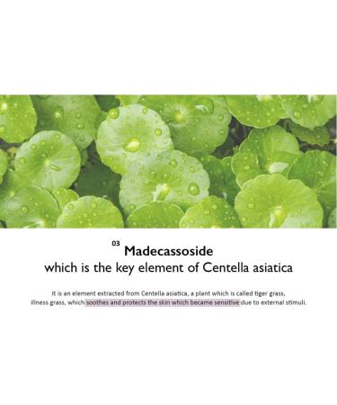 HARUHARU Wonder Eye Cream & Botanical 2GF Ampoule Bundle | Vegan Cruelty-Free, EWG-Green Certified | For All Skin Types - Buy Online on GoSupps.com