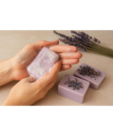 Centisia NLLalla Groentezeep in Mortar 100 g 2 stuks - Buy Online on GoSupps.com