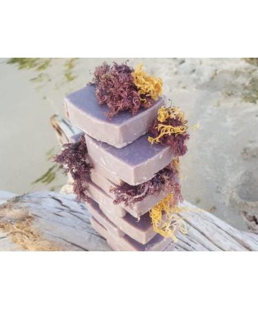 Purple Sea Moss Soap - 100% Natural Handmade Moisturizer for Face Body & Hair | Shop Now - Buy Online on GoSupps.com