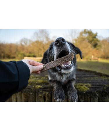 Bellfor Dog Treats with Natural Lamb Meat and without Additives or Flavour Enhancers 100 g - Buy Online on GoSupps.com