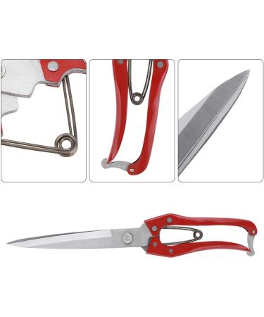 Multifunctional Stainless Steel Sheep Shears & Garden Scissors - 30cm Needle-Nose Plant Rose Vineyards & Florist Scissors - Buy Online on GoSupps.com