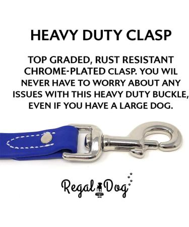 Regal Dog Products Waterproof Dog Collar & 1.5m Leash - Blue Collar for Small to Large Dogs - Buy Online on GoSupps.com