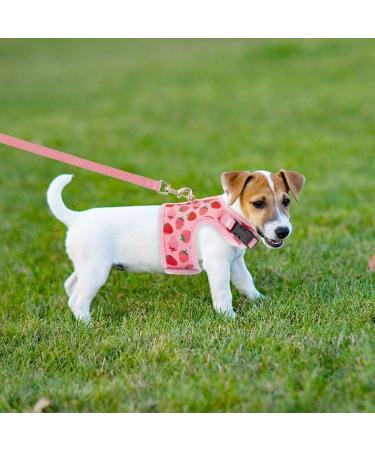 BINGPET Cat Harness with Leash Escape Proof - Fashionable Mesh Cat Dog Walking Harness Leads Adjustable for Kitties Puppies Large Animals Strawberry Large - Buy Online on GoSupps.com