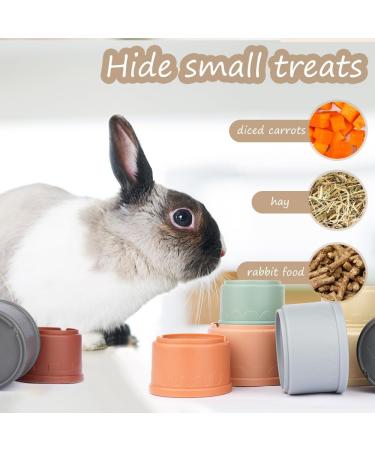 WALLFID 8 PCS Stacking Cups for Rabbits-Bunny Toys for Hiding Food and Playtime Fun BPA-Free Safe Plastic Pet Toys Multi-Coloured and Various Sizes (Morandi Colour) - Buy Online on GoSupps.com