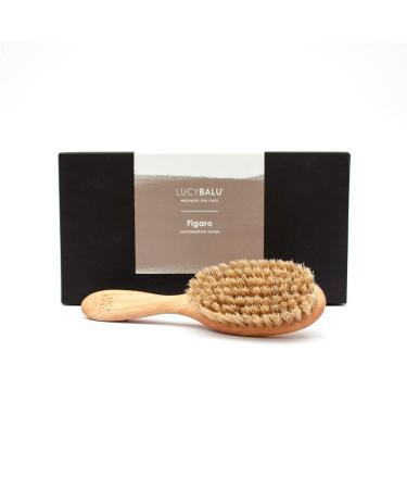 Lucybalu Cat Brush for Short & Long Hair | Natural Bristles & Wooden Handle | Best Cat Grooming Tool | Fellbrush & Katzenkamm - Buy Online on GoSupps.com
