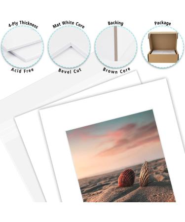 Golden State Art 11x14 White Picture Mats - Pack of 25, Acid-Free, Bevel Cut for 8x10 Photo, with Backing and Bags (25 Pack) - Buy Online on GoSupps.com