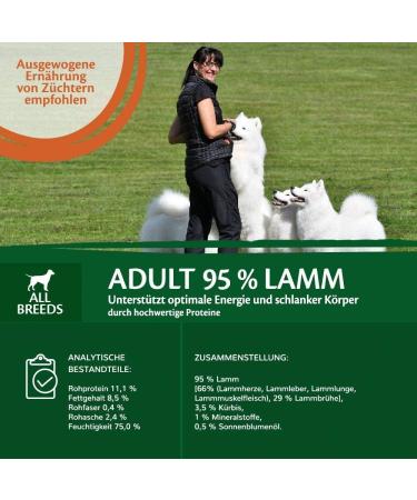 Wellness Core 95% Lamb & Pumpkin Wet Dog Food | Grain-Free High Meat Content - 6 x 400g Pack - Buy Online on GoSupps.com