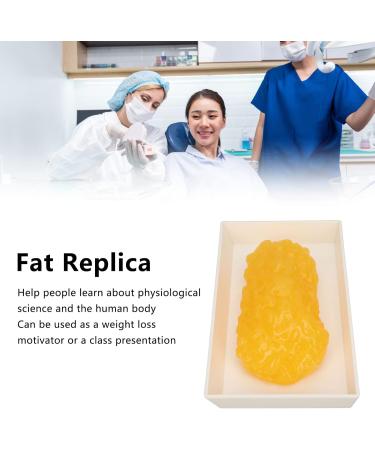 Fat Replica 1 Lb Real Soft Touch Fat Model A True Replica of Human Fatty Tissue for Anatomy Physiology Science Technology Students Nutritionists Doctor Dietitians - Buy Online on GoSupps.com
