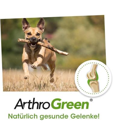 ArthroGreen 165g Natural Arthritis Treatment based on Green Lipped Mussels - Buy Online on GoSupps.com