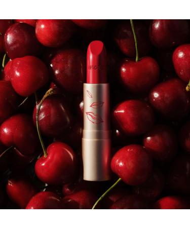  Artdeco ARTDECO Perfect Color Lipstick: Fluid lipstick with rich color - Buy Online on GoSupps.com