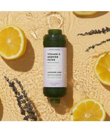 VOESH Shower & Empower Duo - Vitamin C Shower Filter & Exfoliating Sugar Scrub | Vegan Skincare & Clean Beauty Gift Set | Lavender Spa Care - Buy Online on GoSupps.com