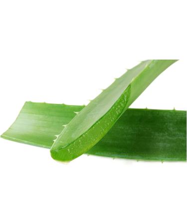 Vonderweid Father Zago Aloe Arborescens Whole Leaf Juice 500 ML - Immunostimulant Nutritional Supplement - Buy Online on GoSupps.com