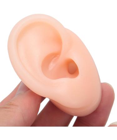 Chanmea Multi-Purpose Human Ear Model - Soft Teaching Tube for Hearing Aid Simulation & Practical Exercises - Buy Online on GoSupps.com