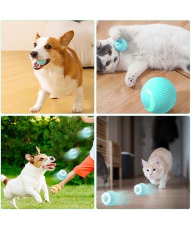 TGKYK Electric Cat Toys - Interactive Intelligent Balls for Cats & Dogs - 2 Pack (Pink & Green) - Quiet & Fun Playtime - Buy Online on GoSupps.com