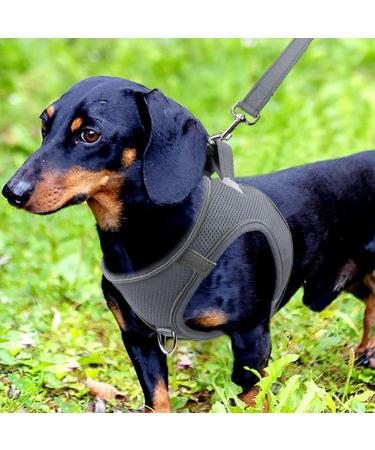 Joyal Dog Harness | Reflective Soft Padded Dog Harness for Small & Medium Dogs | Air-Mesh Breathable Design | Gray (M: 42-47cm) - Buy Online on GoSupps.com