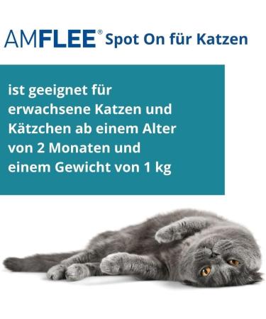 Amflee Spot On for Cats - Effective Flea & Tick Treatment with Fipronil 50mg - 3 Single-Dose Pipettes - Fast Shipping Worldwide - Buy Online on GoSupps.com