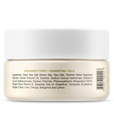 Deluvia Dead Sea Gentle Exfoliating Scrub Creamy Body Wash Shower Scrub with Sweet Almond Oil and Ginger Citrus Essential Oils 8 Fl Oz (Pack of 1) - Buy Online on GoSupps.com