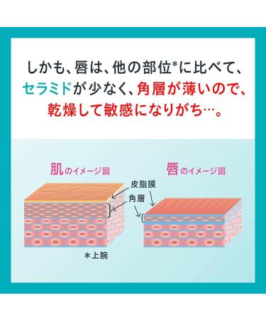 Curel Japan Curel lip care cream slightly browned type 4.2g - Buy Online on GoSupps.com