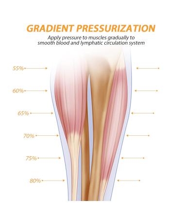 Calf Compression Sleeves for Women & Men 2 Pack Elastic Calf Support Footless Socks Ventilation Calf Brace for Pain Relief Sports Recovery Cycling Travelling Gym Calf Guards (Pink S) S Pink - Buy Online on GoSupps.com
