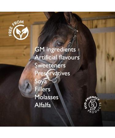 Nourish Science Supplement's Electrolytes Horse Supplement - Buy Online on GoSupps.com